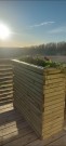 Blomsterkasse - Stor thumbnail